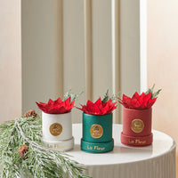 Holiday Mini - Poinsettia
