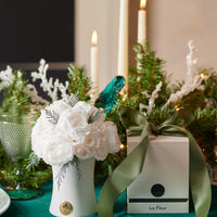 Creme Petite Dome - Starlight