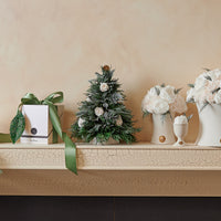 Creme Dome - Starlight