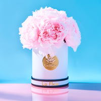 Peony Super Petit Dome by La Fleur Lifetime Flowers