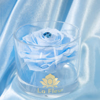 Birthstone Collection - March by La Fleur Lifetime Flowers
