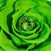 Birthstone Collection - August by La Fleur Lifetime Flowers