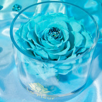 Birthstone Collection - December by La Fleur Lifetime Flowers
