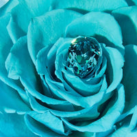 Birthstone Collection - December by La Fleur Lifetime Flowers