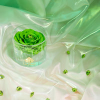 Birthstone Collection - August by La Fleur Lifetime Flowers
