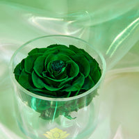 Birthstone Collection - May by La Fleur Lifetime Flowers