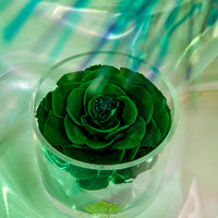 Birthstone Collection - May by La Fleur Lifetime Flowers