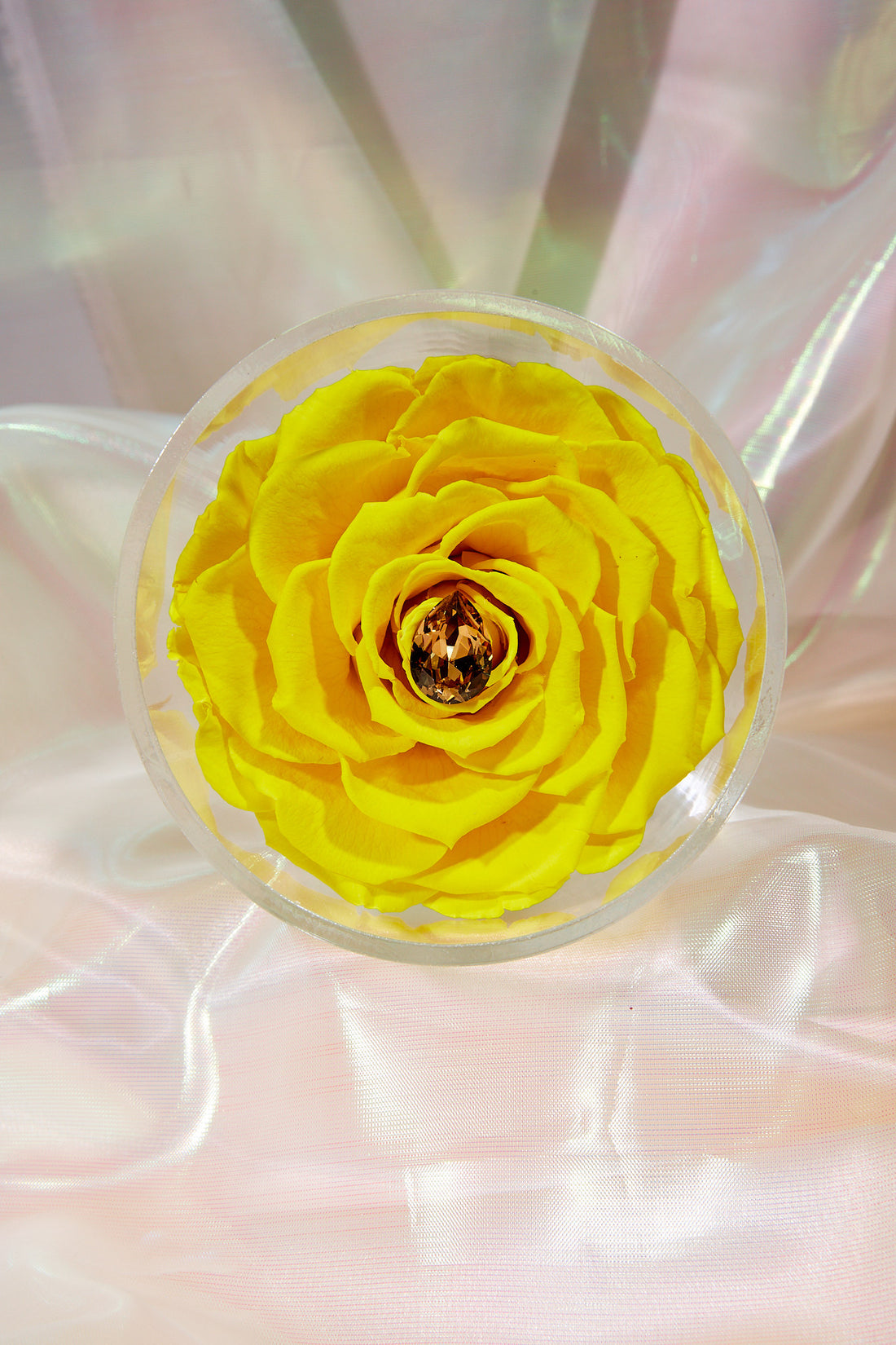Birthstone Collection - November by La Fleur Lifetime Flowers