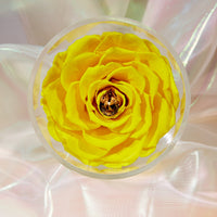 Birthstone Collection - November by La Fleur Lifetime Flowers