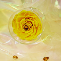 Birthstone Collection - November by La Fleur Lifetime Flowers