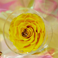 Birthstone Collection - November by La Fleur Lifetime Flowers