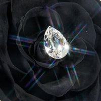 Birthstone Collection - April by La Fleur Lifetime Flowers