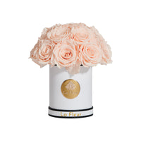 Super Petite Dôme by La Fleur Lifetime Flowers