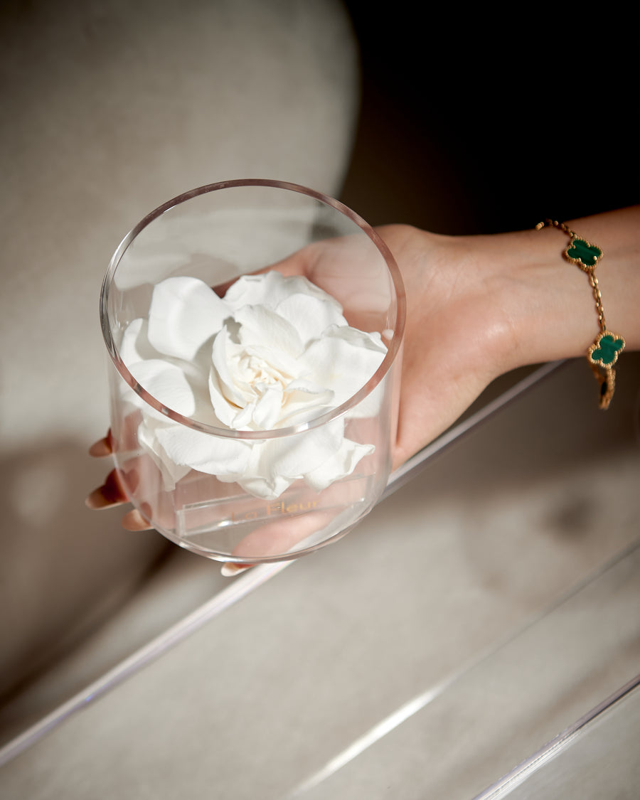 Gardenia Single by La Fleur Lifetime Flowers