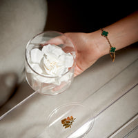 Gardenia Single by La Fleur Lifetime Flowers