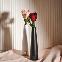 Single Stem by La Fleur Lifetime Flowers