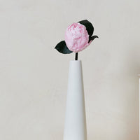 Peony Single Stem by La Fleur Lifetime Flowers