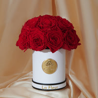 Super Petite Dôme by La Fleur Lifetime Flowers