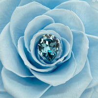 Birthstone Collection - March by La Fleur Lifetime Flowers