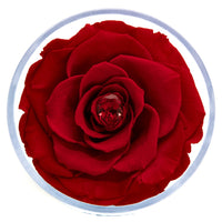 Birthstone Collection - January by La Fleur Lifetime Flowers