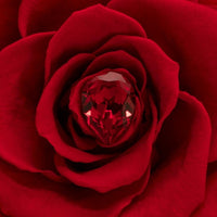 Birthstone Collection - January by La Fleur Lifetime Flowers