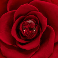 Birthstone Collection - July by La Fleur Lifetime Flowers