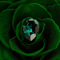Birthstone Collection - May by La Fleur Lifetime Flowers