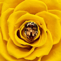 Birthstone Collection - November by La Fleur Lifetime Flowers