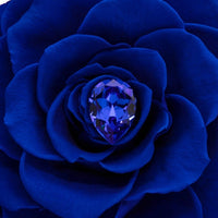 Birthstone Collection - September by La Fleur Lifetime Flowers