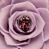 Birthstone Collection - February by La Fleur Lifetime Flowers