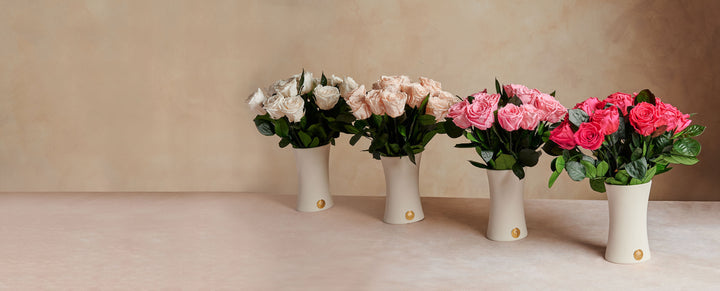 Long Stem Collection