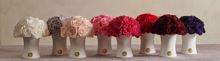 Creme Vases