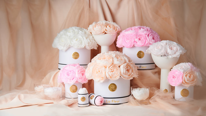 Floraison Collection