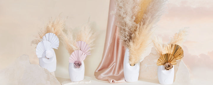 Pampas Collection