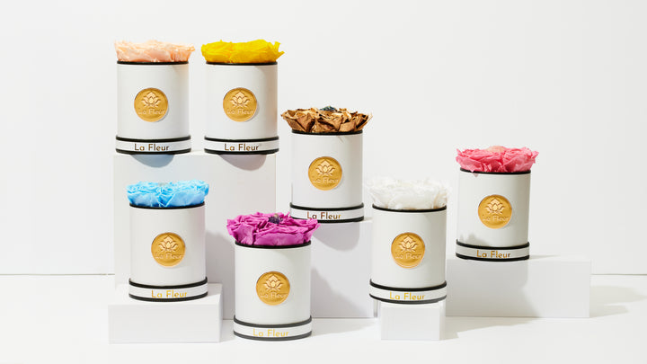 Crystal Super Petites
