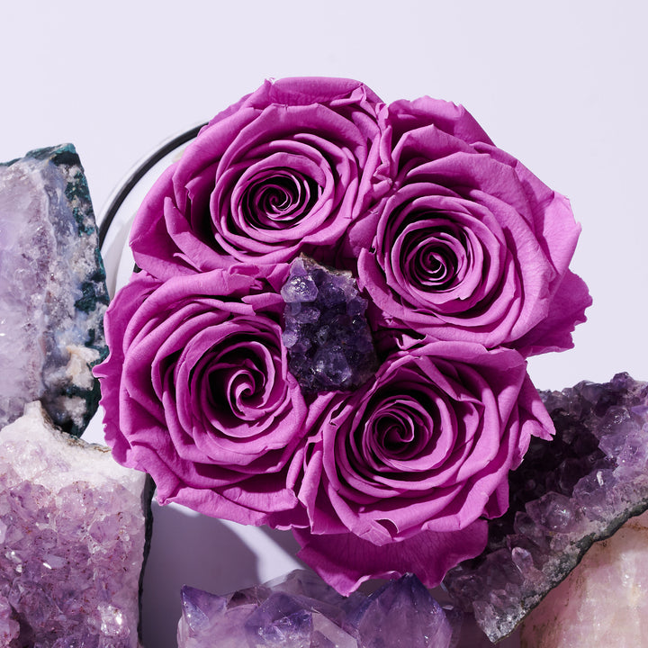 Amethyst Collection