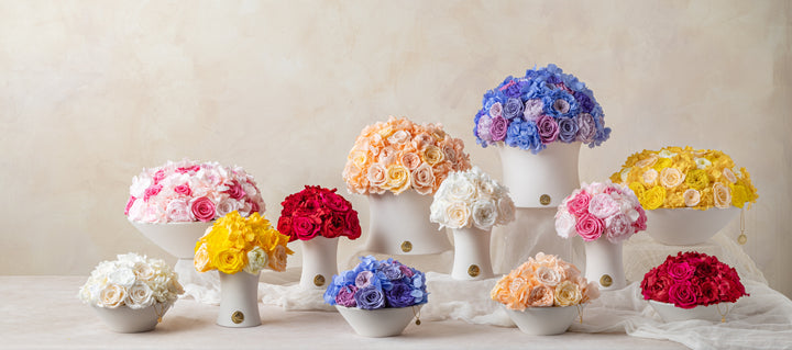 Jardin Collection