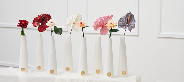 Anthurium Collection
