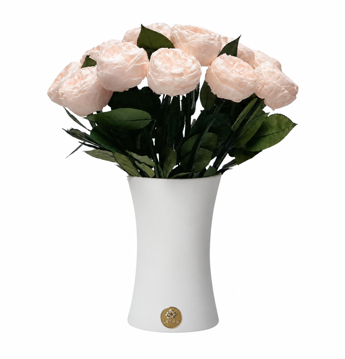 Creme Dozen Peony Rosette