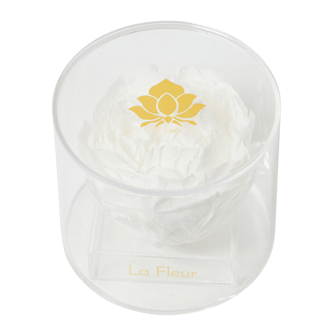 Peony Single by La Fleur Lifetime Flowers