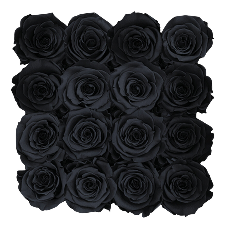 Petite Square - Black Velvet by La Fleur Lifetime Flowers