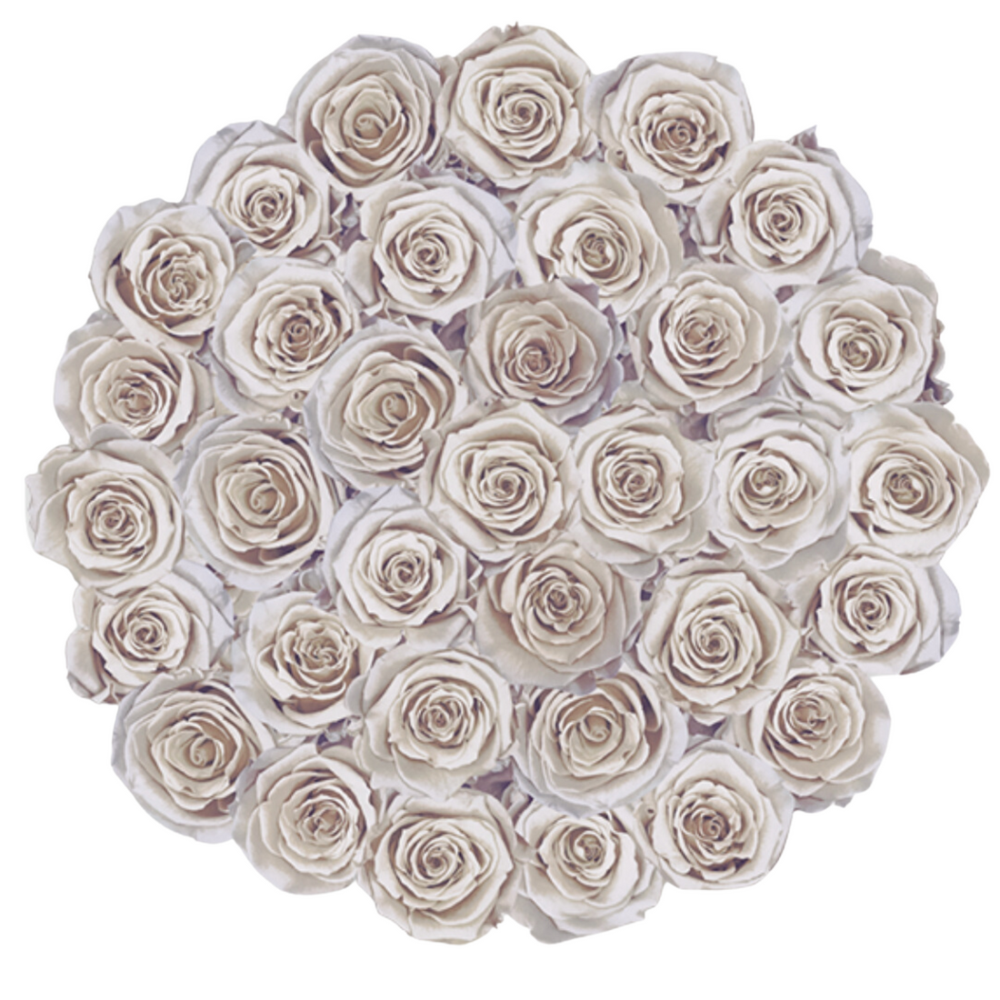 Grande Round - Brown Velvet by La Fleur Lifetime Flowers