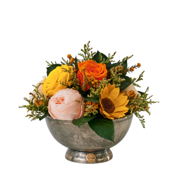Platine Petite Compote - Mango