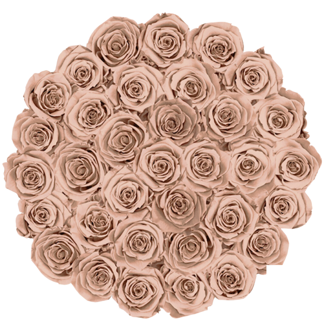 Grande Round by La Fleur Lifetime Flowers