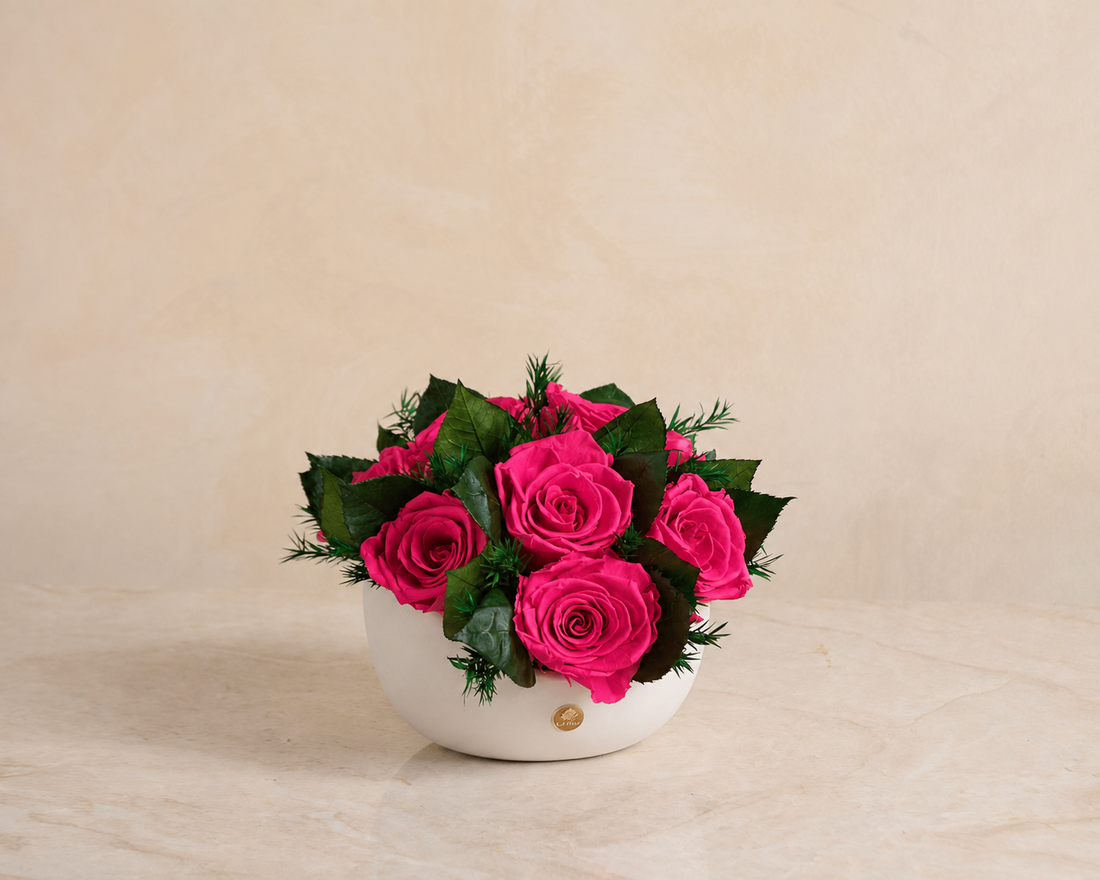 Jolie Grande - Rose