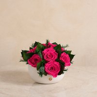 Jolie Grande - Rose