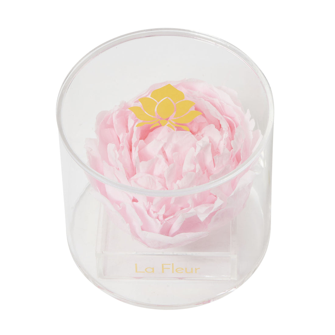 Peony Single by La Fleur Lifetime Flowers