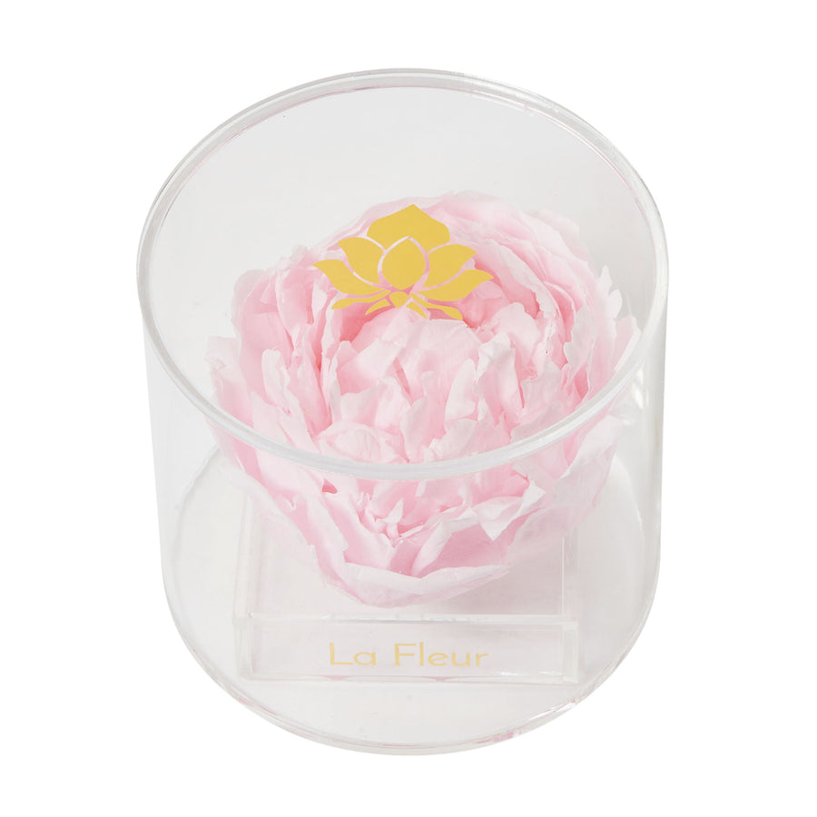 Peony Single by La Fleur Lifetime Flowers