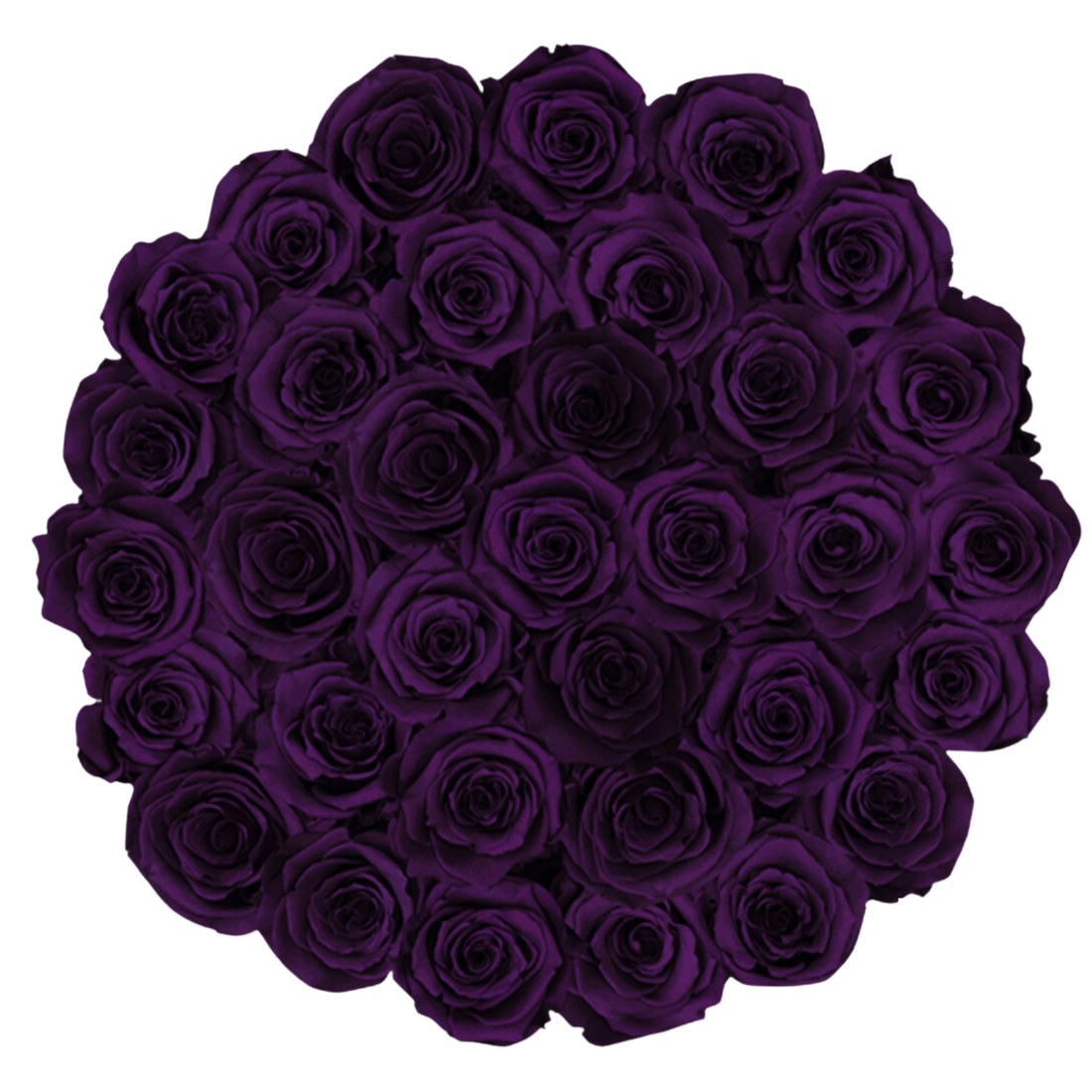 Grande Round - Black Velvet by La Fleur Lifetime Flowers