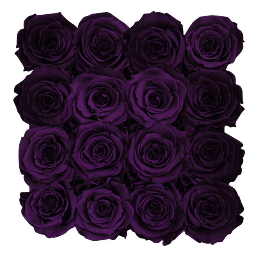 Petite Square - Black Velvet by La Fleur Lifetime Flowers